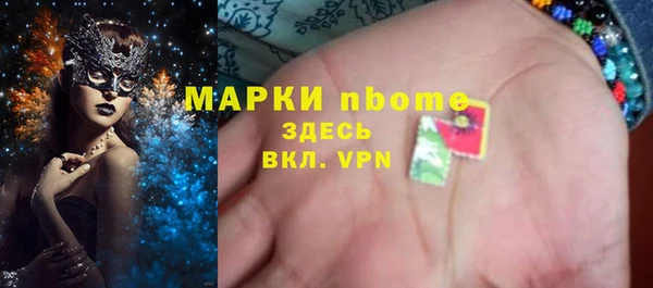гидра Абаза