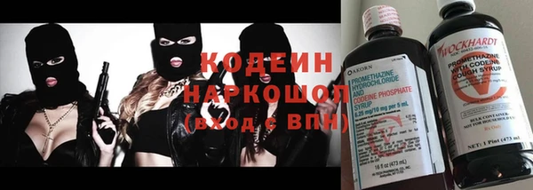 ПСИЛОЦИБИНОВЫЕ ГРИБЫ Рославль