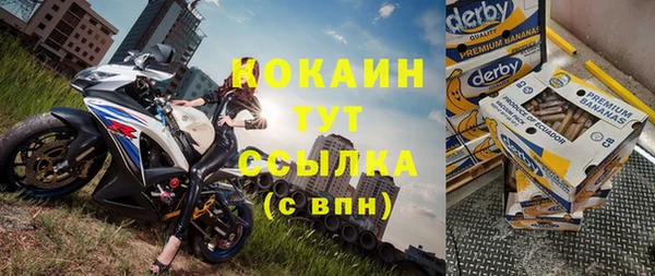 ПСИЛОЦИБИНОВЫЕ ГРИБЫ Рославль
