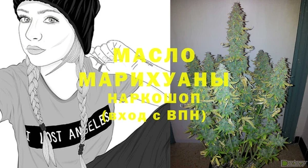 гидра Абаза